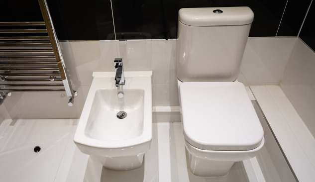 Proč se vyplatí investovat do mycího WC sedátka?