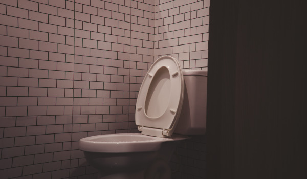 Jak koupit dobrou záchodovou prkénko?