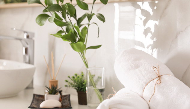 Jaké rostliny můžete umístit v koupelně?
