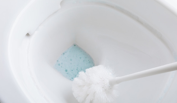 Jak pečovat o WC kartáč?