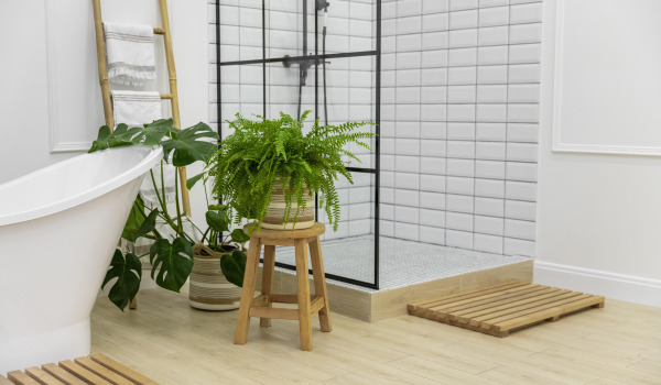 5 nejlepších květin pro pěstování v koupelně